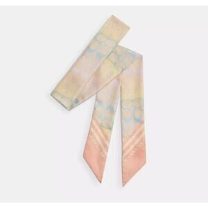 NWT COACH Signature Rainbow Print Silk Skinny Scarf CDL17 Multi Color